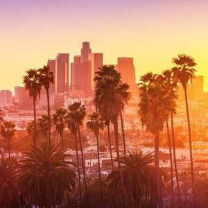 Meet your Posher, Greta